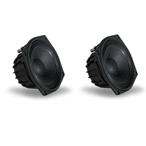 FaitalPRO W6N8-120 8ohm 8" 120watt PA Speaker